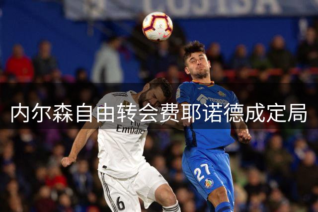 内尔森自由转会费耶诺德成定局